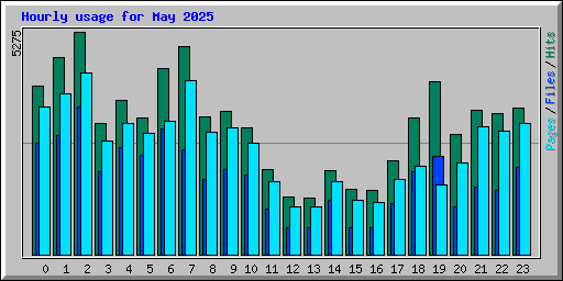 Hourly usage for May 2025