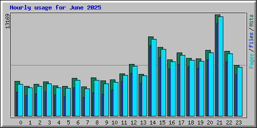 Hourly usage for June 2025