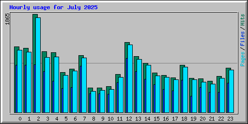 Hourly usage for July 2025