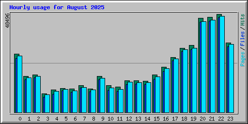 Hourly usage for August 2025